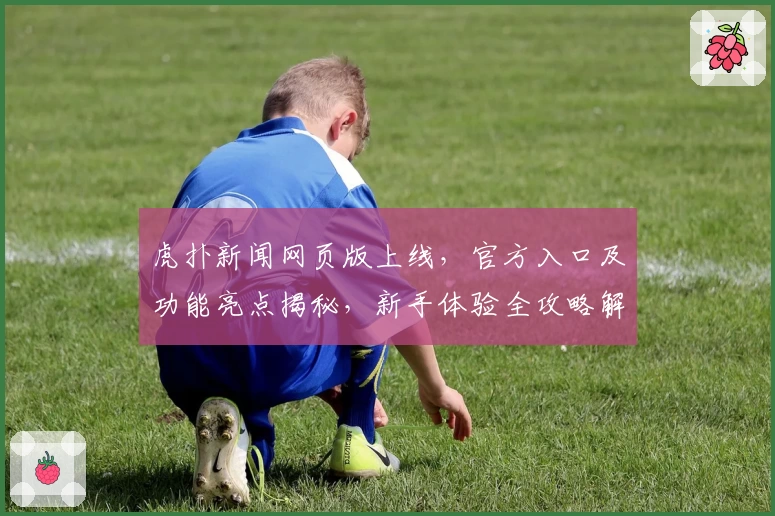 虎扑新闻网页版上线，官方入口及功能亮点揭秘，新手体验全攻略解析